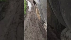 Шины GOODYEAR WRANGLER DURATRAC в грязи