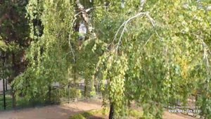 Артур Аракелян - Havatam