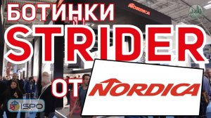 Горнолыжные ботинки Nordica Strider 130 (Сезон 2017-18)