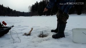 ПРОВЕРКА ЖЕРЛИЦ.НА МОТОБУКСИРОВЩИКЕ БАРС.