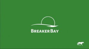 12 ПРЕСТИЖ! Проходим скачки и кросс кантри ? Rival Stars Horse Racing