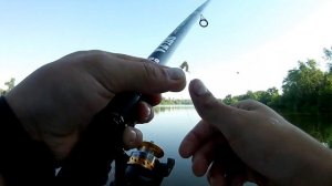 рыбалка на сома, ловля на поплавок