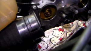 Как поменять ремень ГРМ на РЕНО КЕНГО 1.6 на двигателе K4M