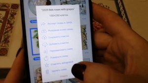 Как найти перенаборы схем вышивки и перенести их в Сагу. Вышивка крестом. Электронные схемы.