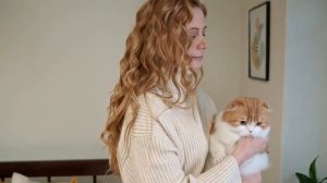 Почему кошки уходят из дома? Ушла умирать? Что говорят народные приметы?