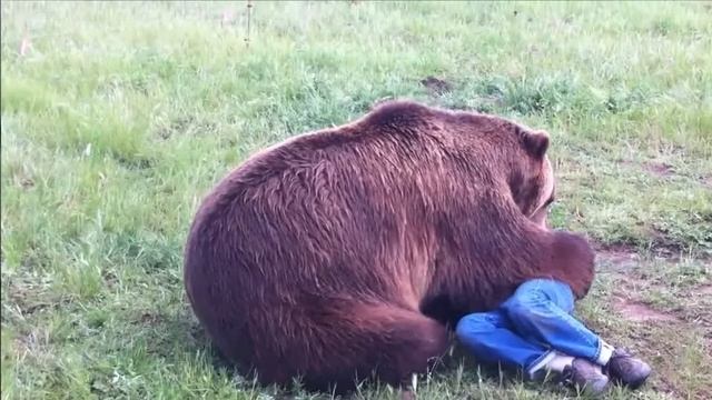 Он прятался в реке, и, когда женщина подошла к воде, он выскочил и схватил её. смотреть онлайн