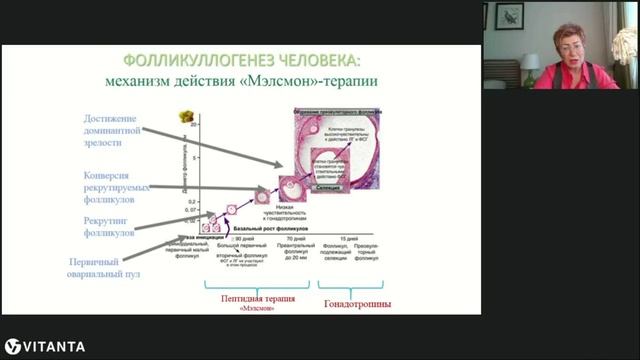 Возможности плацентарной терапии для повышения эффективности ЭКО