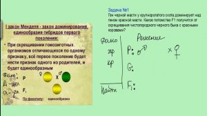 Первый закон Менделя. Моногибридное скрещивание. Полное доминирование. Решение задачи. ЕГЭ