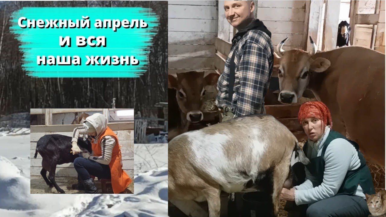 ОБРАЗЦОВОЕ ХОЗЯЙСТВО