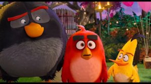 THE ANGRY BIRDS 2 CHUCK Best Moments [HD] ANIMATION MOVIES