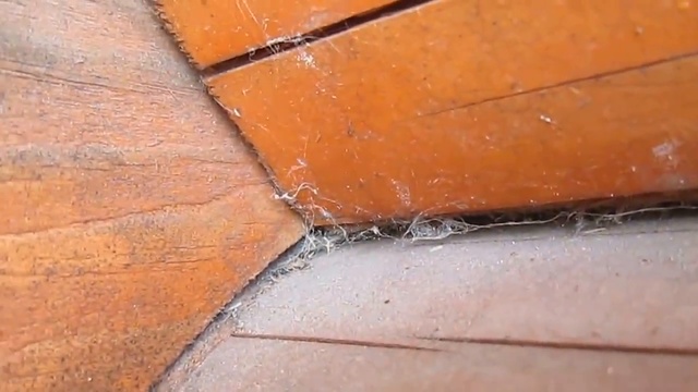 Трещины и щели в бревнах сруба из оцилиндрованного бревна 1 смотреть онлайн