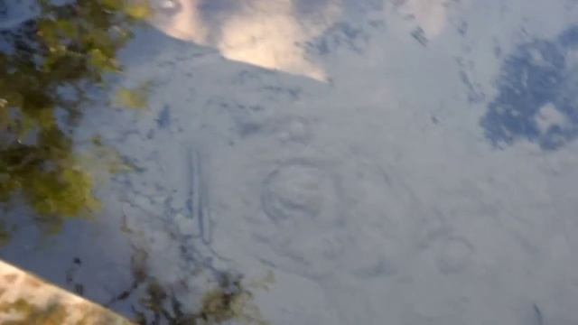 Святой источник Князь - Владимирский у Варзуги смотреть онлайн