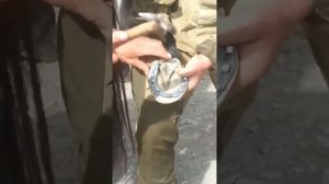 ПОДКОВКА ЛОШАДЕЙ. КУЛИ