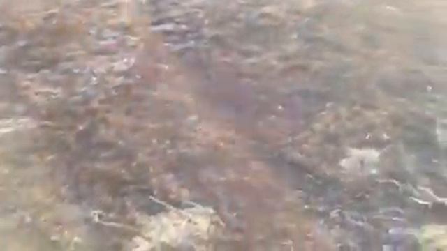 Белоомут Мчс поджигает заливные луга смотреть онлайн