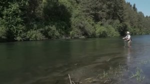 RIO Trout Steelhead Indicator Fly Line