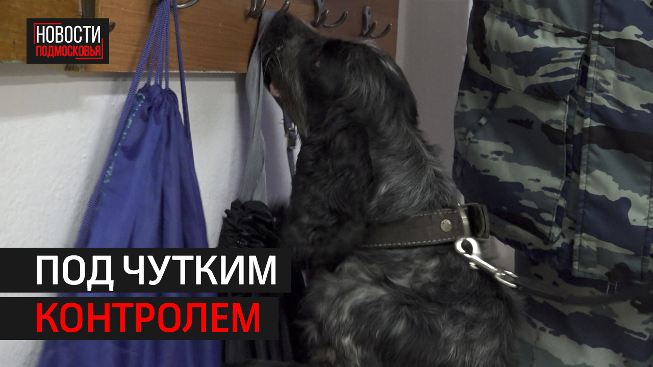 Систему безопасности социальных объектов проверили в Мытищах.
