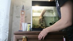 УХОД И ОБСЛУЖИВАНИЕ 30-ТИ ЛИТРОВОГО АКВАРИУМА