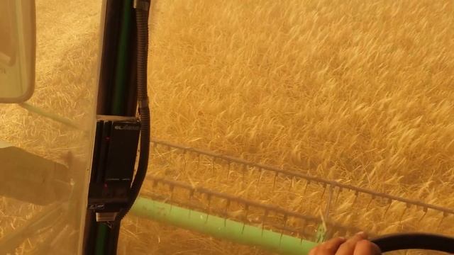 Канадский ячмень двуручка Eldon, Уборка 2019!!!, 23.06.2019 смотреть онлайн