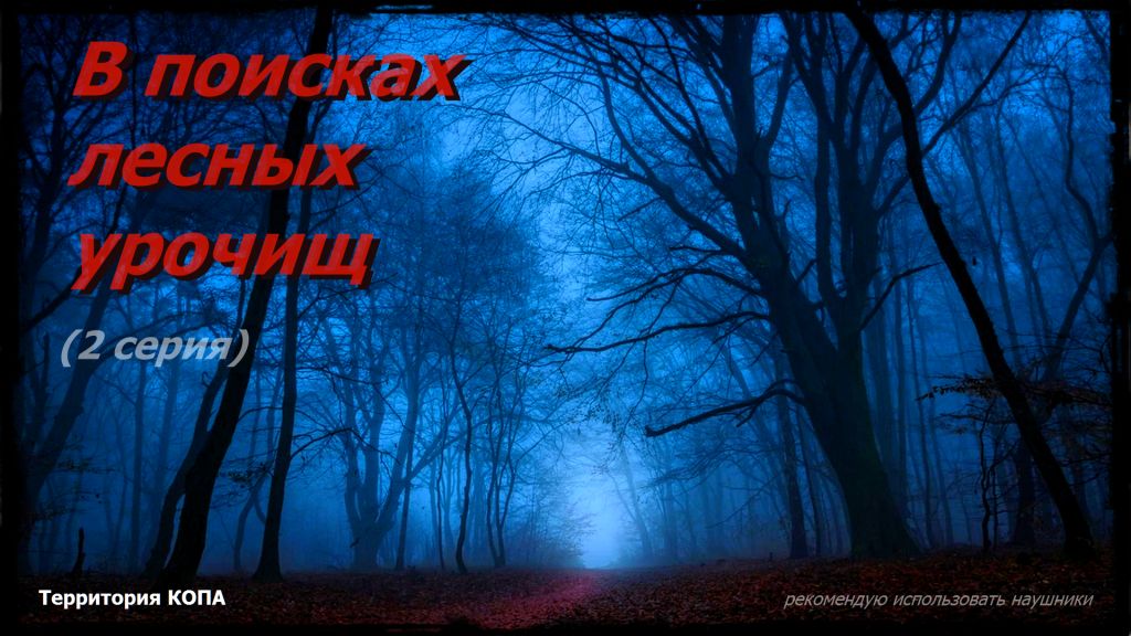 В поисках лесных урочищ (2 серия) смотреть онлайн