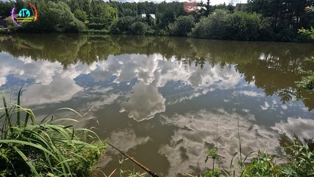 Щука в жару