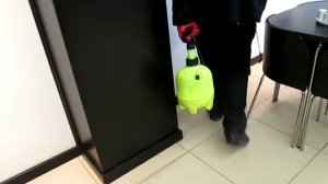 Уничтожение тараканов в кафе.