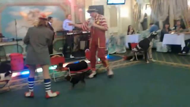 Шоу для ресторана сказка востока 1001 ночь 2 смотреть онлайн