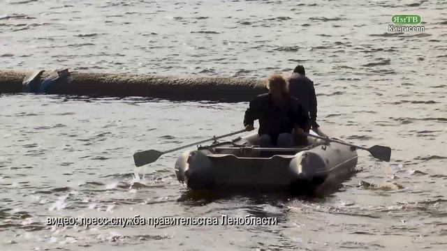 Затонувшие колонны Казанского собора подняли со дна смотреть онлайн