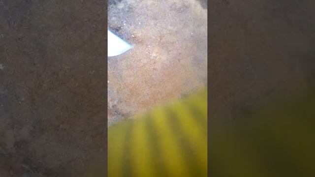 колода для рубки мяса зачистка смотреть онлайн