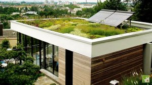 Проекты одноэтажных домов с плоской эксплуатируемой крышей – современные и практичные