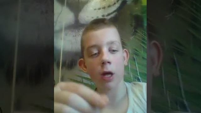 конструктор