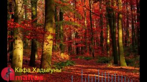 Кафа Хадыгуны [Amaltus]