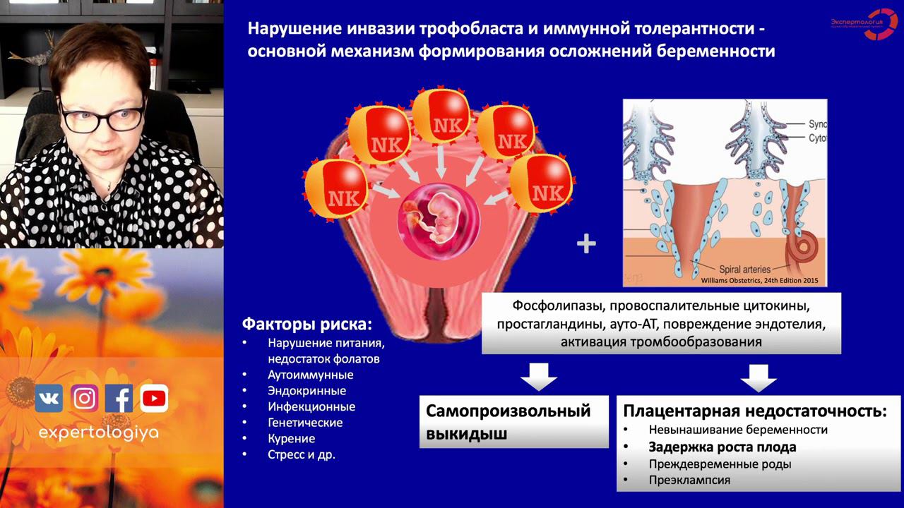 Экспертология | Задержка роста плода - эпигенетическая регуляция и коррекции