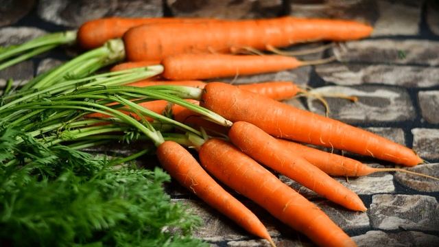 Когда сажать морковь в открытый грунт семенами в Подмосковье? смотреть онлайн