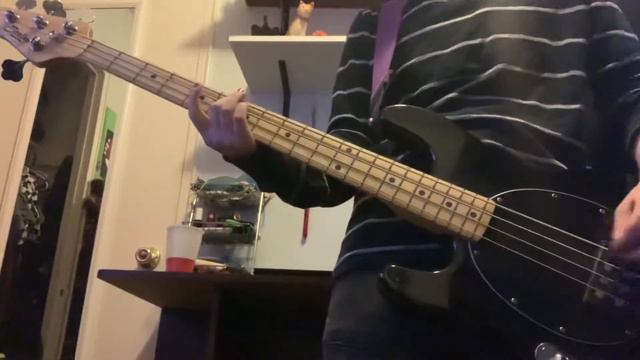 Screeching Weasel - Dingbat bass cover смотреть онлайн