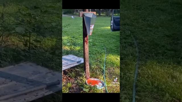 Royal Magnolia Homestead ? смотреть онлайн