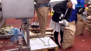 Заморозка и упаковка цветной капусты. Шоковая заморозка овощей. Промышленное оборудование для завод