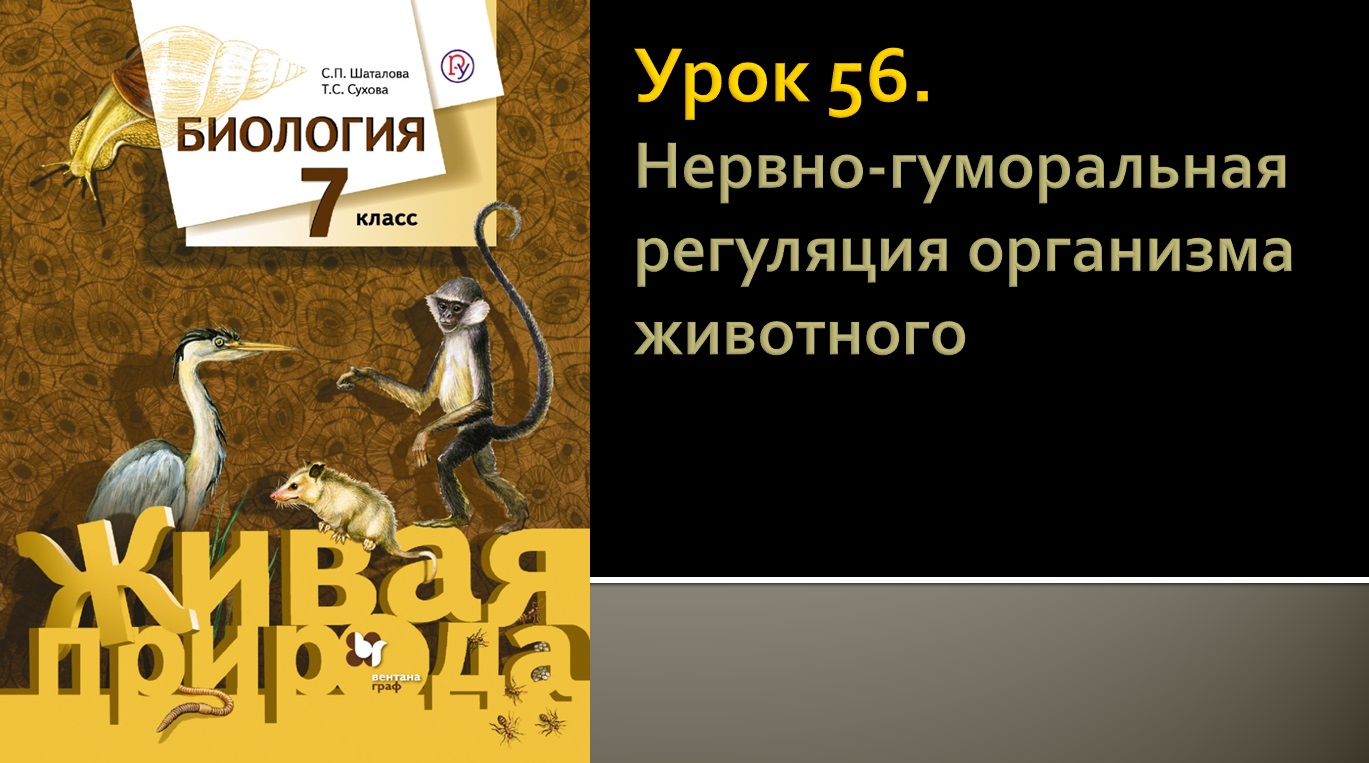 Урок 56. Нервно-гуморальная регуляция организма животного