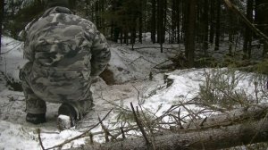 Охота с ягдтерьером на лису (жесткая схватка) Выпуск 7. Fox Hunt with Jagdterrier
