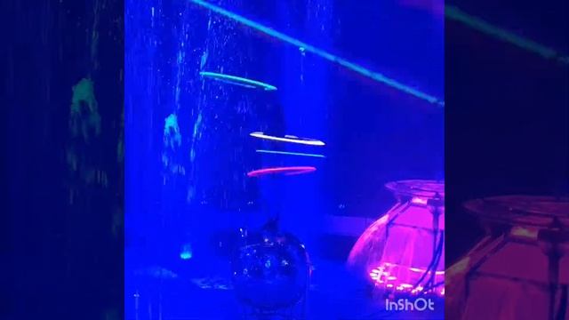 Шоу "Водная феерия" хула-хупы на зеркальном шаре Анна Лапиадо