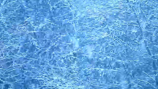 Продолжение снегопада 19 марта 2009 года. Москва. смотреть онлайн