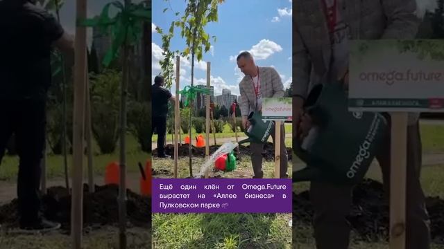 СЕО  «Омега. Технологии будущего» Ярослав Алейник сажает клен на «Аллее бизнеса» в Пулковском парке