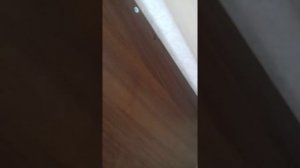 ?ПОЛИРОЛЬ ДЛЯ ДЕРЕВЯННОЙ МЕБЕЛИ?