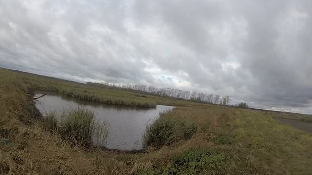 GOPR0509~2.mp4 смотреть онлайн