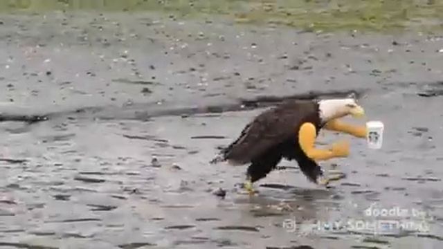 Прикол с орлом ??? смотреть онлайн