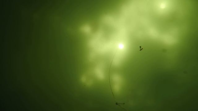 Поклёвки окуня.Урал,заводской пруд,вторая плотина.27 декабря 2015 года,глубина около трёх метров. смотреть онлайн