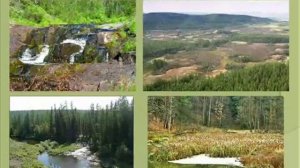 Заповедники Красноярского края