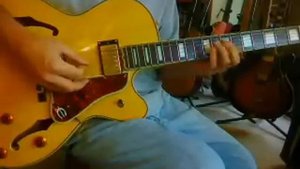 Epiphone Emperor Joe Pass  Korean SOLD   grab a solid top The Loar LH-350 instead