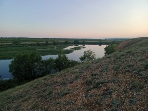 Петрович с сыном на рыбалке 12.07.2022