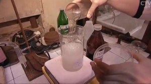 Белорусские ученые разработали средство для борьбы с колорадскими жуками и другими вредителями