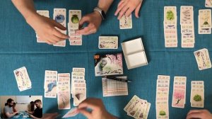 Играем в Ohanami/ Оханами!